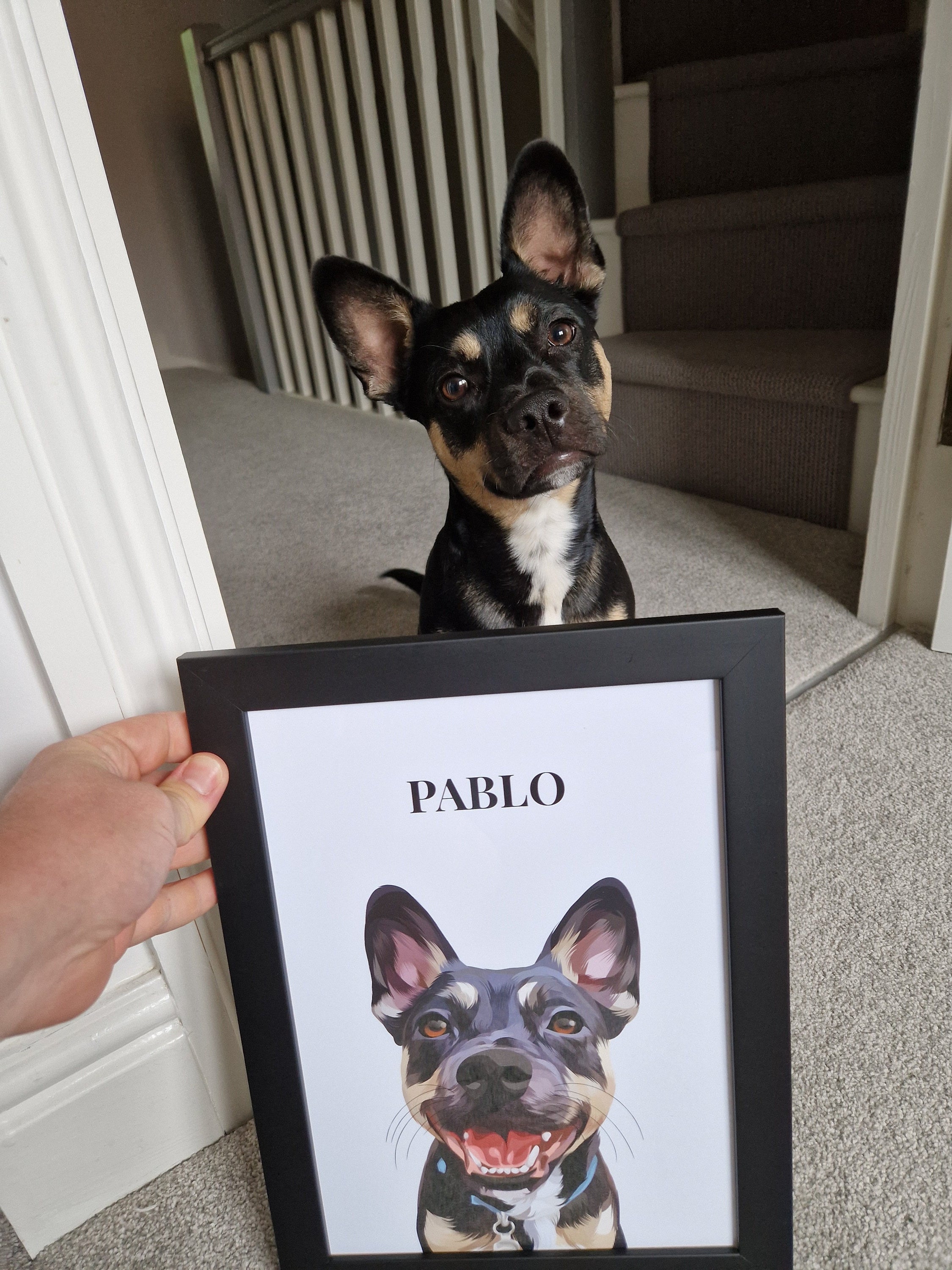 Pablo the dog with their framed custom Print & Paw portrait