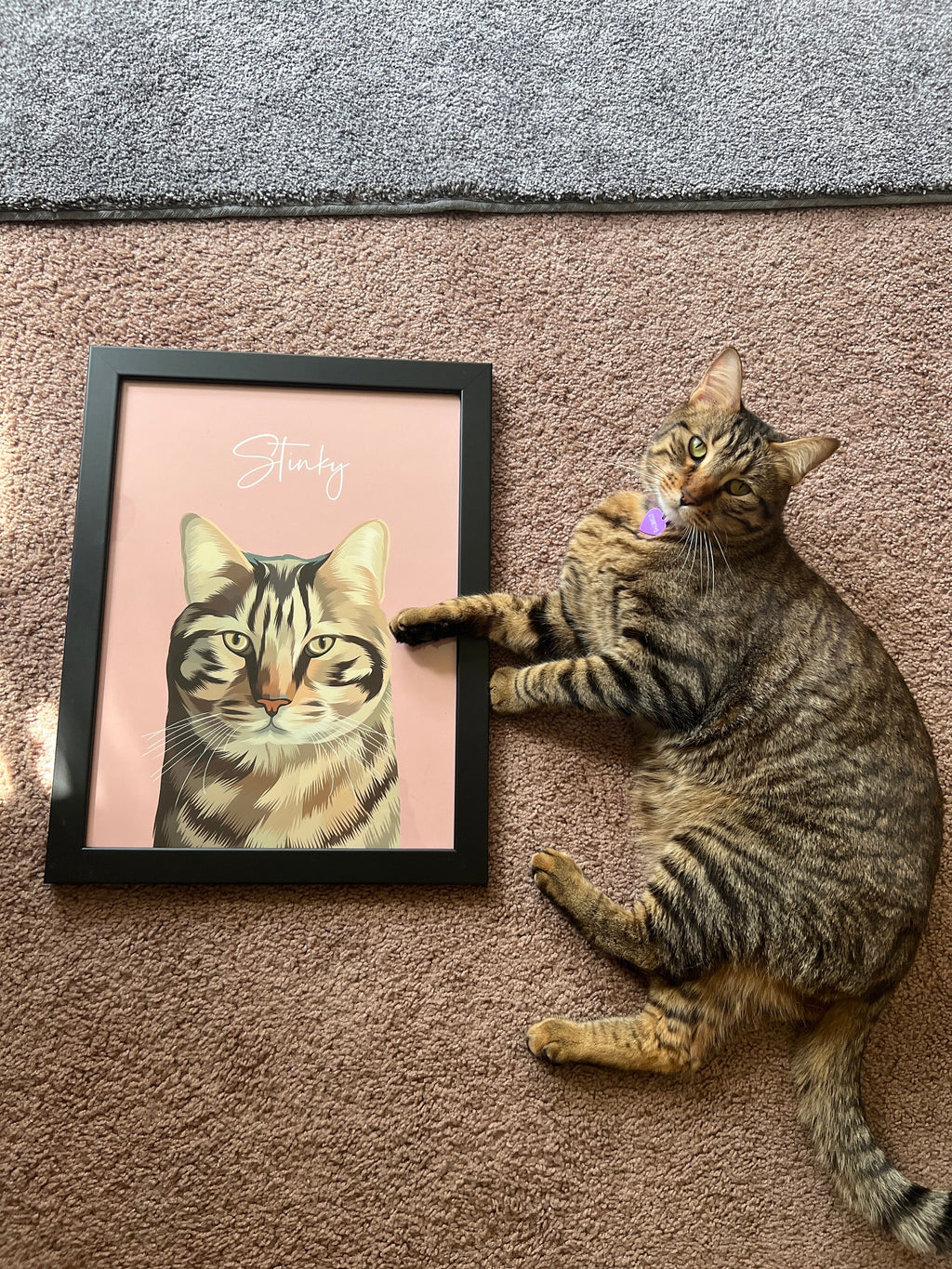 Stinky the tabby cat beside their custom Print & Paw portrait