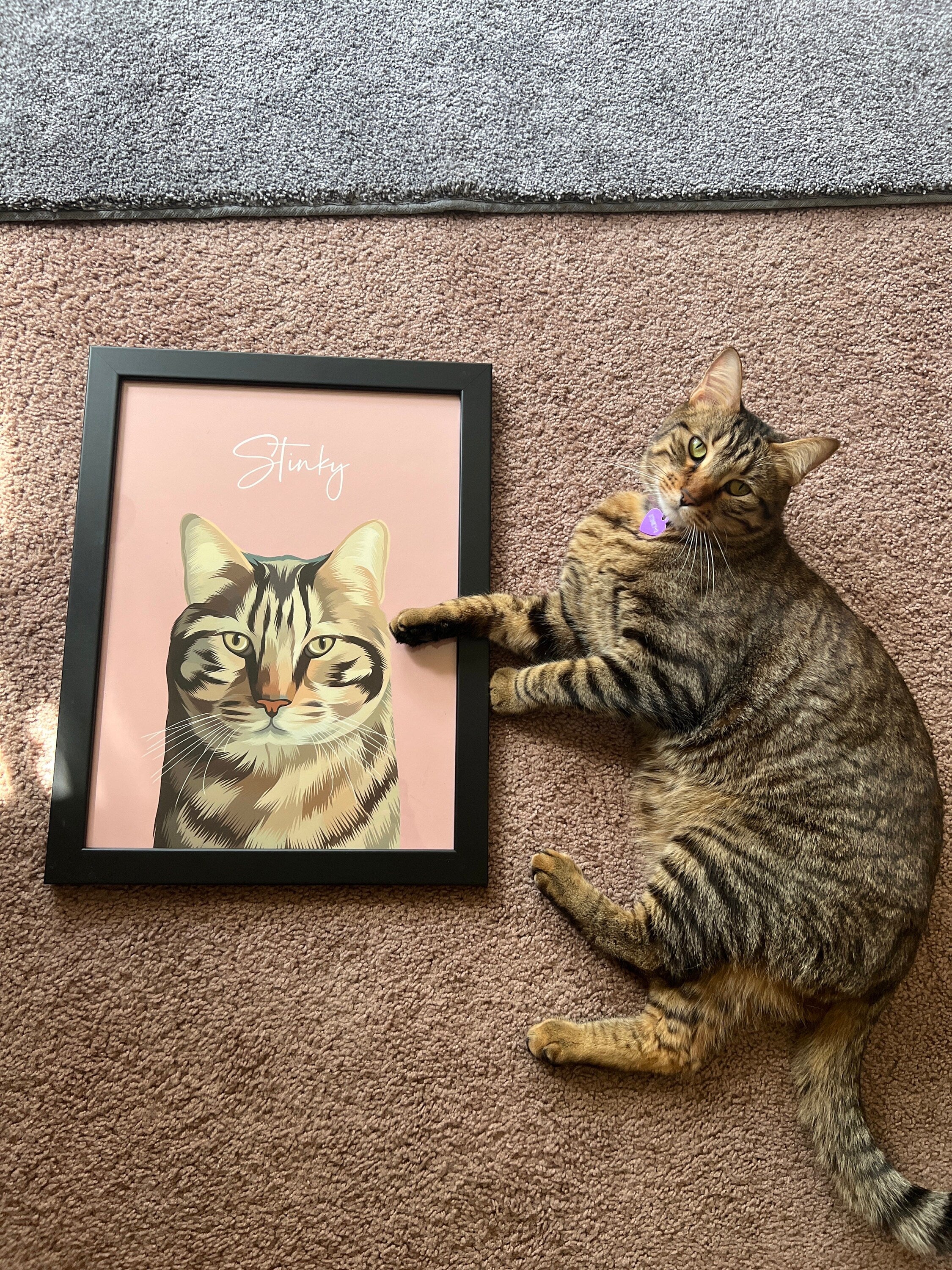 Stinky the tabby cat beside their custom Print & Paw portrait